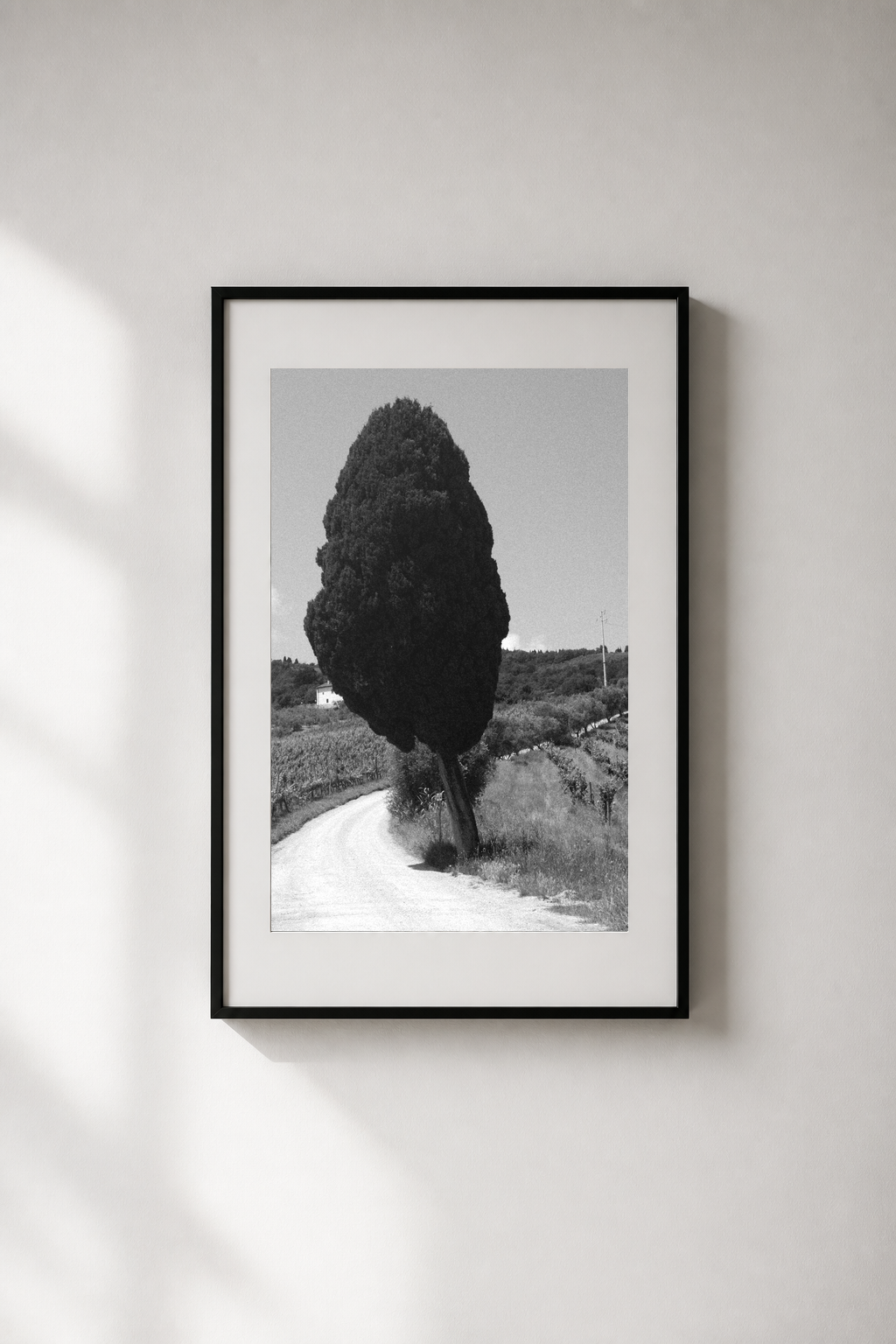 Framed black and white print on a naturally lit gallery wall