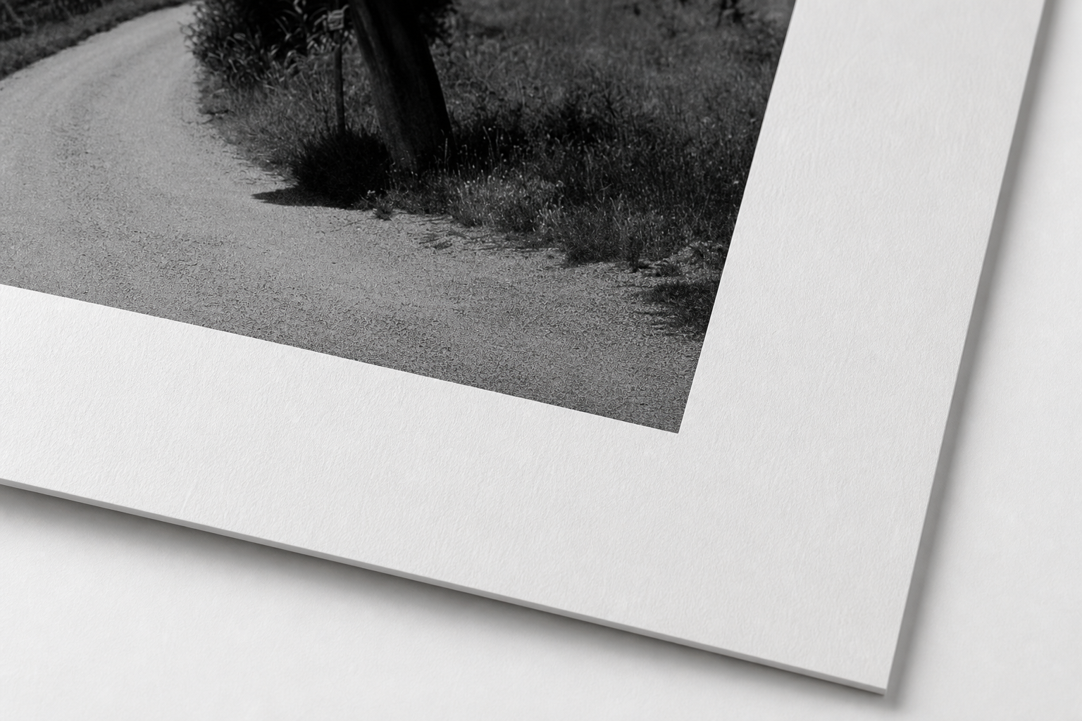 Detail of a black-and-white print on Hahnemuhle fine art paper.