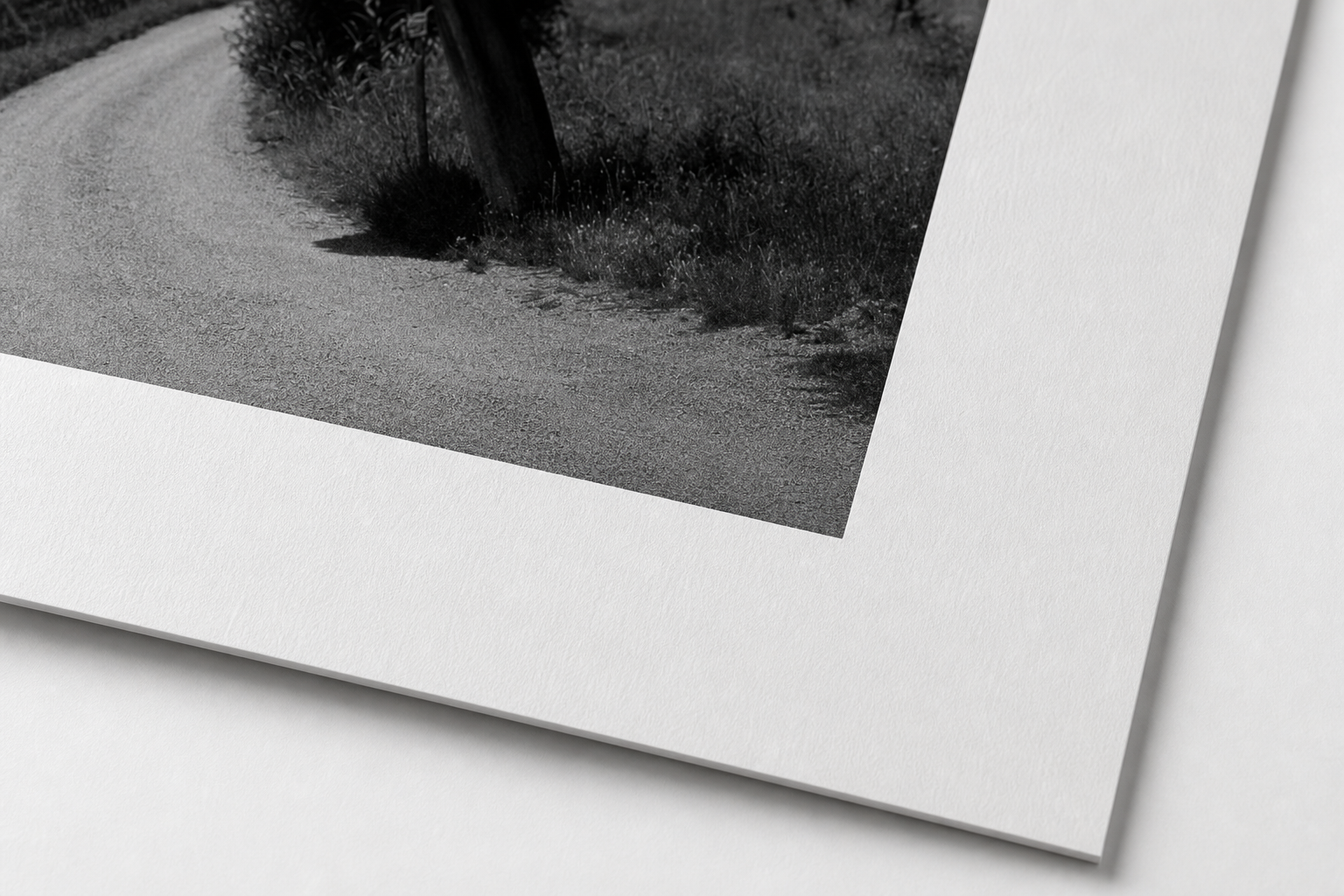 Trimmed detail of black and white fine art paper