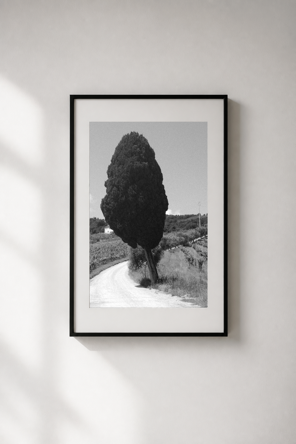 Framed black-and-white print from Seeking Grace on a naturally lit wall.