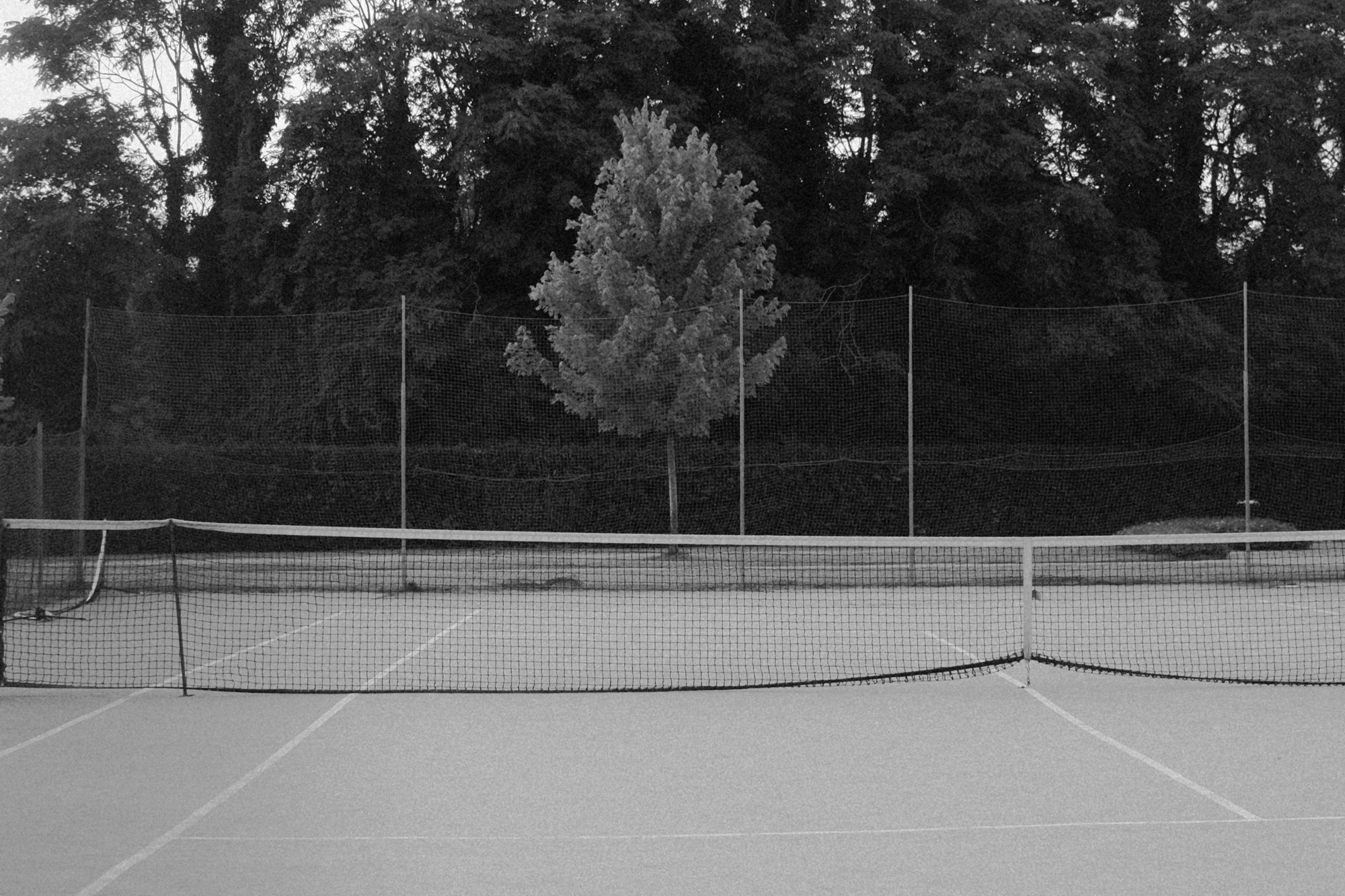 Black-and-white photograph of a tennis court and surrounding grounds.